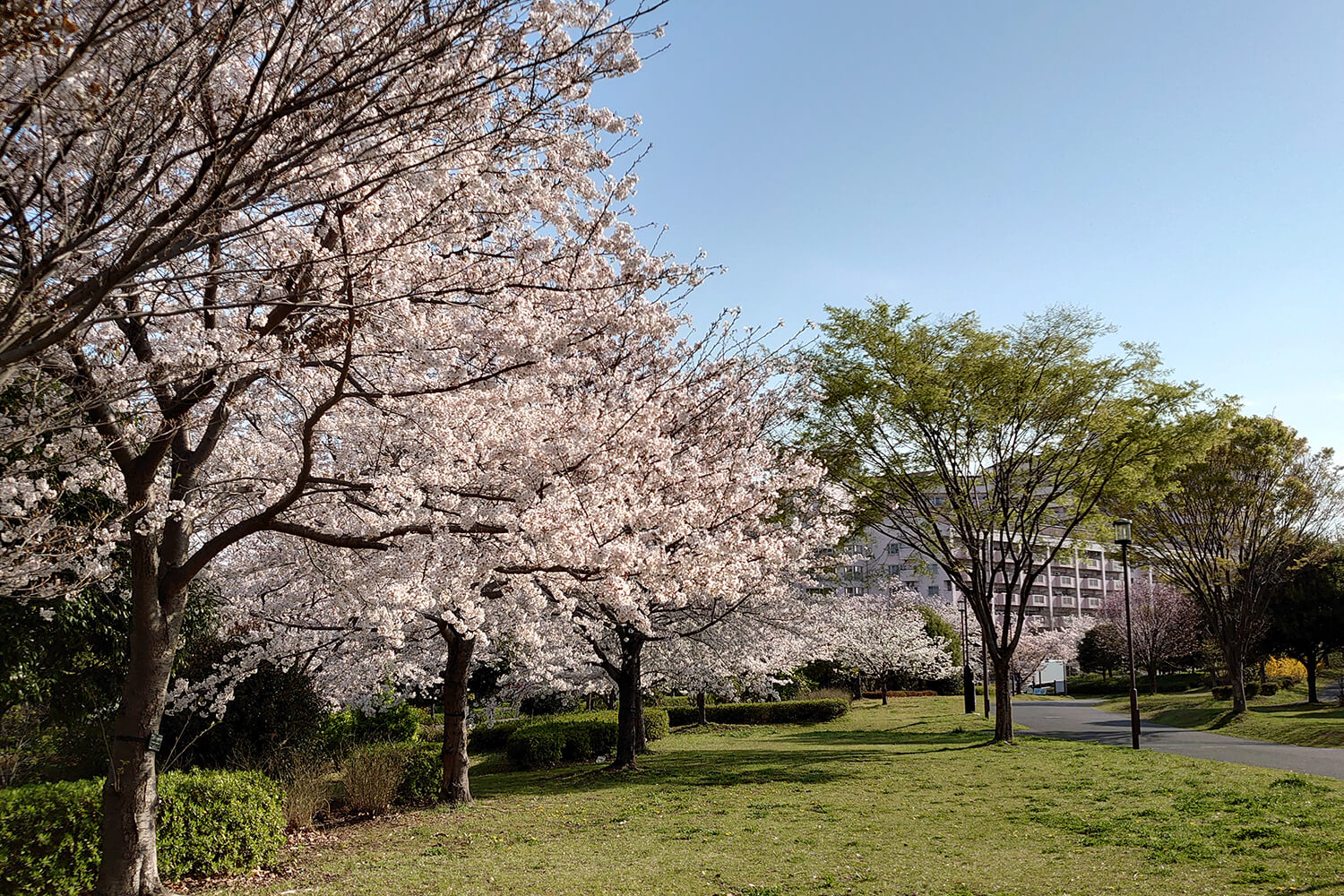 大島のトランクルーム